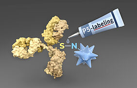 P5-Labeling-Technologie als molekularer Klebstoff zur Gewinnung von Antikörper-Wirkstoff-Konjugaten (ADCs) für klinische Phase-I-Studien gegen Krebs. | Quelle: Barth van Rossum | Copyright: Barth van Rossum |