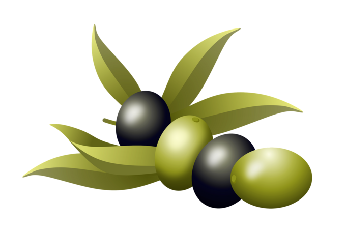 Oliven enthalten Elenolsäure - und die wirkt gegen Fettleibigkeit und Diabetes Typ-2. Symbolbild. Credits: Pixabay