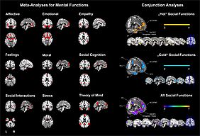 Die Metaanalyse der Forschenden zeigt anhand von Big Data auf, welche Hirnregionen mit verschiedenen Gefühlen verbunden sind. | Copyright: MPI CBS