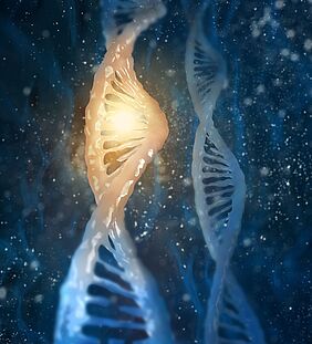 Die DNA eines Menschen kann in Milliarden Abschnitten gelesen werden. | Quelle: Colourbox | Copyright: Colourbox 