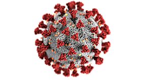 Untersuchungen der zellulären Immunantwort unterstützen STIKO-Empfehlung: Dreimaliger Kontakt mit SARS-CoV-2-Erregerbestandteilen führt zu starkem Schutz. Credits: CDC