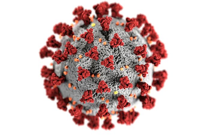 Die Impfung gegen das Coronavirus führt nicht zu Totgeburten. Das ist das Ergebnis einer US-amerikanischen Studie unter Leitung der Yale University. Credits: CDC.