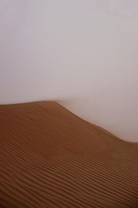 Saharasand kommt diese Tage in Deutschland an. Das löst mitunter Entzündungsprozesse im Körper aus.  (Symbolfoto). Credits: Pexels/ Lucas Carlini