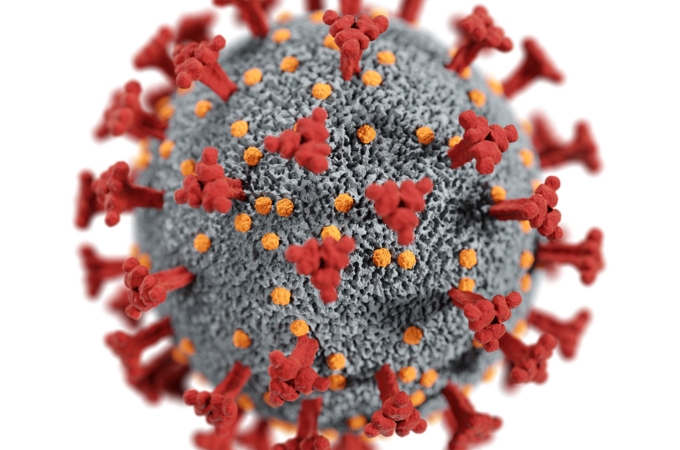 Coronavirus: Das Post-COVID-Syndrom lässt sich lindern, berichten Marburger Forschende. Credits: Pixabay/CDC.