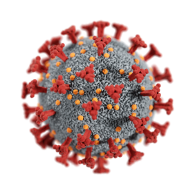 Coronavirus: Das Post-COVID-Syndrom lässt sich lindern, berichten Marburger Forschende. Credits: Pixabay/CDC.