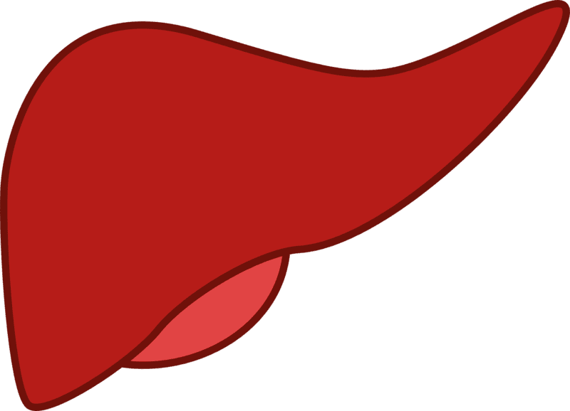 csm_LEBER_pixabay_5eb2303c42.png