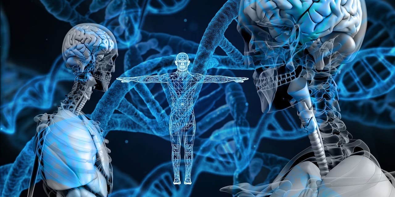 dna-3598439_1280