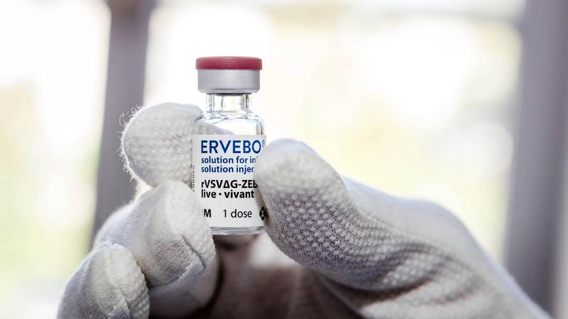 ERVEBO28623